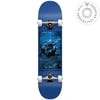 Darkstar 8,0 Clean Grave Blue Komple Kaykay