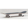 GLOBE G1 STAY TUNED BLACK COMPLETE PROFESYONEL KAYKAY 8.0