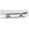 GLOBE G1 VARSITY HAWAII COMPLETE PROFESYONEL KAYKAY 8.0