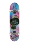 Horn X Kanjy 8.25 Jelly Pro Complete Profesyonel Kaykay 