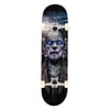 Plan B 8.0 Frankenstein Complete Profesyonel Kaykay 