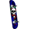 POWELL PERALTA 7.75 SKULL SNAKE ONE OFF ROYAL BLUE BIRCH COMPLETE PROFESYONEL KAYKAY 