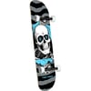 POWELL PERALTA 7.75 RIPPER ONE OFF SILVER LIGHT BLUE BIRCH COMPLETE PROFESYONEL KAYKAY 