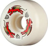 Powell Peralta Nano Rats Asymmetrical Shape AV6 Medium Ride 54mm x 34mm 93A Kaykay Tekerlek Seti 