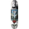 Primitive 8.25 Rodriguez Knight Deck Profesyonel Kaykay Tahtası 