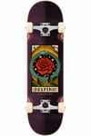 Santa Cruz 8.25 Delfino Ouroboros Element Alt Takımlı Complete Kaykay 