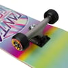 SANTA CRUZ 8.0 IRIDESCENT DOT FUL COMPLETE PROFESYONEL KAYKAY 