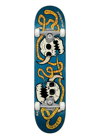 Toy Machine 8.25 Rowley Skulls Blue Complete Profesyonel Kaykay  