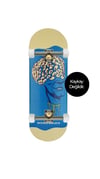 Woodenblack Focus Dude Pro Fingerboard Complete 