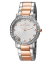 Pierre CardinPC106372S10Pierre Cardin PC106372S10 Bayan Kol Saati