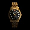 Swiss MilitarySMWGL0002110Swiss Military SMWGL0002110 Erkek Kol Saati