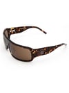 Gian franco FF677 03 Unisex Güneş Gözlüğü