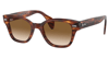 Ray-BanRB/0880S/954/51/49Ray-Ban RB/0880S/954/51/49 Kadın Güneş Gözlüğü