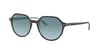 Ray-BanRB/2195/1316/3M/53Ray-Ban RB/2195/1316/3M/53 Unisex Güneş Gözlüğü