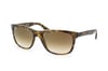 Ray-Ban RB/4181/710/51/57 Unisex Güneş Gözlüğü