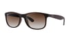 Ray-Ban RB/4202/6073/13/55 Erkek Güneş Gözlüğü