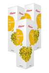 3 Kutu Balen Sarı Kantaron Yağı 250 Ml Kantoron Yağı