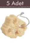 5 Adet Doğal Kabak Lifi Bulaşık Süngeri Banyo Kesesi Loofah Sponge İpli Kabak Kesesi Kalın Büyük