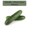 Alman Hıyarı Tohumu 1 Paket (10Gr=300+Adet) Salatalık Tohumu