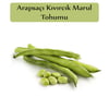 Bakla Tohumu 1 Paket (25 Gr=20+ Adet) Yerli Bakla Tohumu