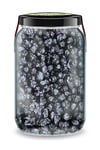 En taze ve doğal ithal blueberry meyveleri zencefilorganik.com'da! Sağlıklı yaşamın vazgeçilmezi mavi yemişlerle tanışın. Hemen sipariş verin, sağlıklı atıştırmalıklarınızı güvence altına alın!