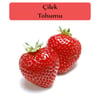 Çilek tohumu 1 Paket (0,5 Gr) Çilek Tohum