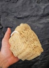 Doğal Kabak Lifi Bulaşık Süngeri Banyo Kesesi Loofah Sponge İpli Kabak Kesesi Kalın Büyük Parça