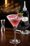 Doğal Kokteyl Köpürtücü 250 ML. Vegan %100 Bitkisel Foamer Professional Cocktail Foam