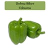 Dolma Biber Tohumu 1 Paket (10Gr=1000+ Adet) Kandil Dolma Biberi Tohumu