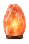 himalaya-tuz-lambasi-15-20-kg-himalaya--4836-.jpg