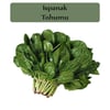 Ispanak Tohumu 1 Paket (10Gr=950+Adet) Matador Ispanak Tohum