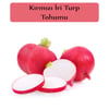 Kırmızı Turp Tohumu 1 Paket (10Gr=1000+ Adet) Kırmızı İri Turp Tohumu Erkenci Ege