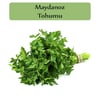 Maydanoz Tohumu 1 Paket (10Gr=5000+ Adet)