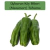 Mazamort Biber Tohumu 1 Paket (10 Gr=1000+ Adet) Üç Burun Biber Tohumu