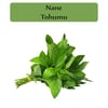 Nane Tohumu 1 Paket (0,02Gr) Kokulu Nane Tohumu