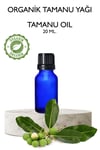 Organik Tamanu Yağı 20 ml. Saf Soğuk Pres