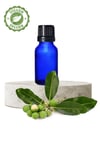 Organik Tamanu Yağı 20 ml. Saf Soğuk Pres