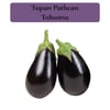 Patlıcan Tohumu 1 Paket (10Gr=2000+ Adet) Topan Patlıcan