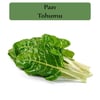 Pazı Tohumu 1 Paket (10Gr=1000+ Adet)