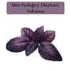 Reyhan Tohumu 1 Paket (3Gr=100+ Adet) Mor Reyhan Tohumu Mor Fesleğen Tohumu