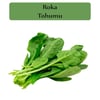 Roka Tohumu 1 Paket (10Gr=3000+ Adet)