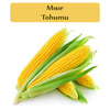 Tatlı Mısır Tohumu 1 Paket (10Gr=45+ Adet) Mısır Tohumu