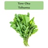 Tere Tohumu 1 Paket (10Gr=5000+ Adet) Tere Otu Tohumu Geniş Yapraklı Tere