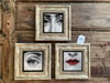 Oscar Stone Decor Çerçeveli Taş Duvar Dekoru Tablo 3'lü Set 20x20cm Fornasetti Tabloları