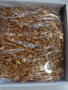 1728 Adet Ekonomik Paket Gold Kuyumcu Etiket İğnesi