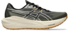 Asics Blazeblast Erkek Trail Koşu Ayakkabısı