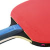 BUTTERFLY TIMO BOLL GOLD