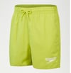 Speedo Essential 13