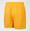 Speedo Essential 13