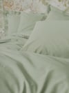 Cotton Box Plain Çift Kişilik Nevresim Takımı Adaçayı